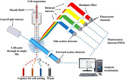 Application of advanced technology in traditional Chinese medicine for cancer therapy